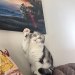 Hannah's Profile Photo