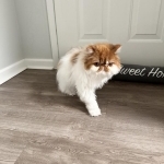Stephanie's Profile Photo