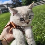 Giza's Profile Photo