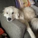 William's Profile Photo