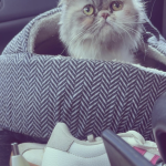 LaVita's Profile Photo