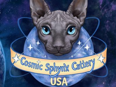 Cosmic Sphynx Cattery Chicago IL  US - Sphynx - Gallery Photo #1