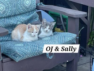 OJ And Sally - Domestic - Gallery Photo #1