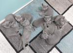 Petra and Jasper Litter - Russian Blue Kitten For Sale - Hallsville, MO, US