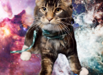 Midnight Nova's Smaugs Ash & Cinders - Maine Coon Kitten For Sale - 