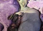 Jemma's babies - Sphynx Kitten For Sale - Athens, AL, US