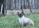 Blaze Profile