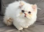 ROMEO Profile