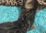 2 males delivery available Profile
