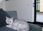 Kitty Profile