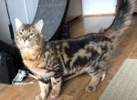 Charlie Profile