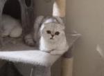 Little Grumpy Profile