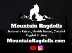 Mountain Ragdolls Profile