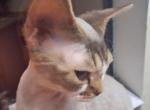 Bad Boy Profile