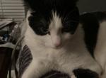 Callie Profile