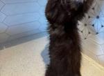 Thunder Profile