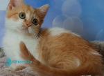 Bevis Profile