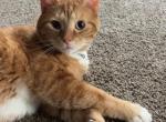 Loui Profile