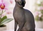 Gracy Profile