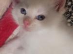Yuki Profile