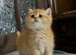 No name yet Profile