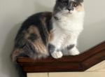 Cali Profile