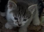 Ralo Profile