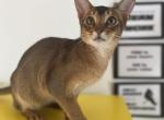 Phoebe Profile