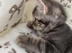 Mimi Profile