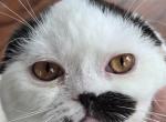 Charlie Profile