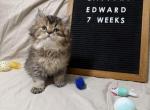 Edward Profile