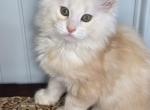 HOPPER Profile