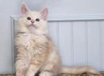 HOPPER Profile