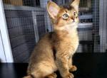 Tynn Profile