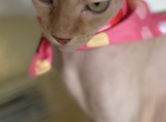 Pamela Profile