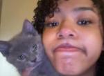 Nameless cats Profile