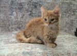 Darla curly Skookum Profile