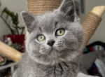Stasik Profile