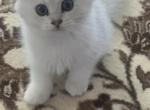 Liliy Profile
