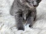 Grey Profile