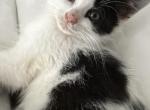 Charlie Profile
