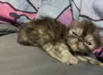 Zoe Profile