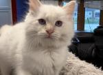 Danis litter  Milwaukee Profile
