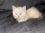 Nans Litter Profile