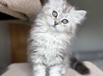 Hope Profile