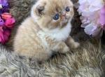 Milo Profile