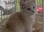 Klause Profile