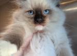 vinny Profile