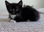 Buddy Profile