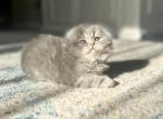 Mia Profile